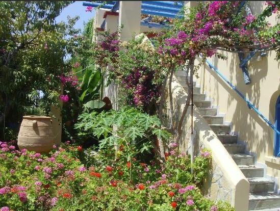 סיסי Palm Bay Hotel מראה חיצוני תמונה